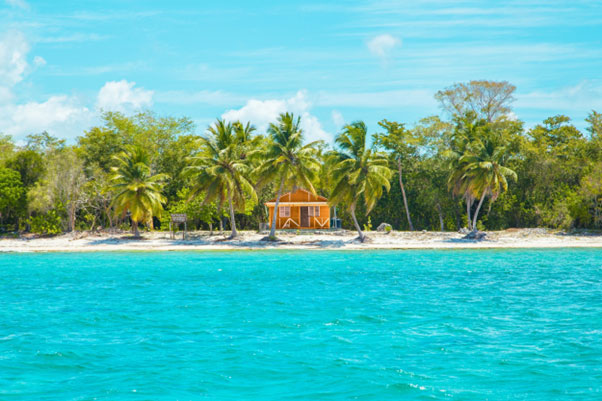 Photo of Wooden Cabin on Beach Near Coconut Trees by Leonardo Rossatti